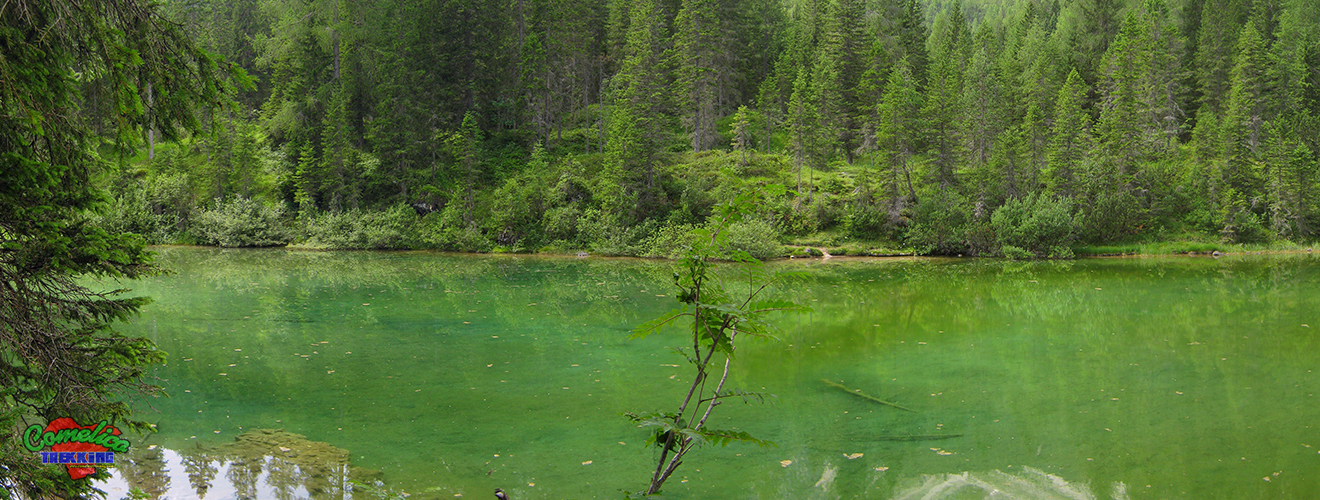 www.comelicotrekking.com